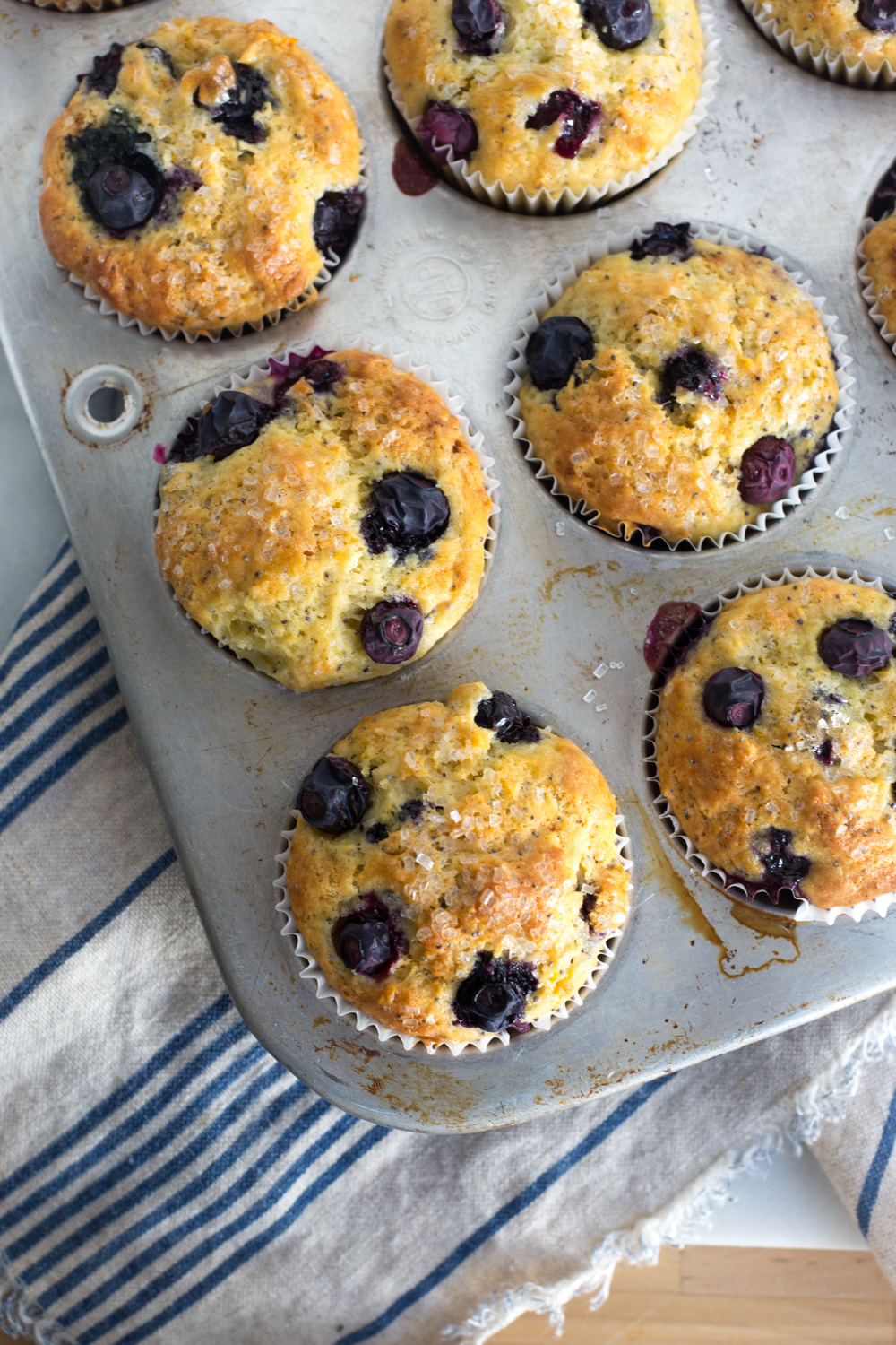 Blueberry Lemon Poppy Seed Muffins fresh from the oven. 