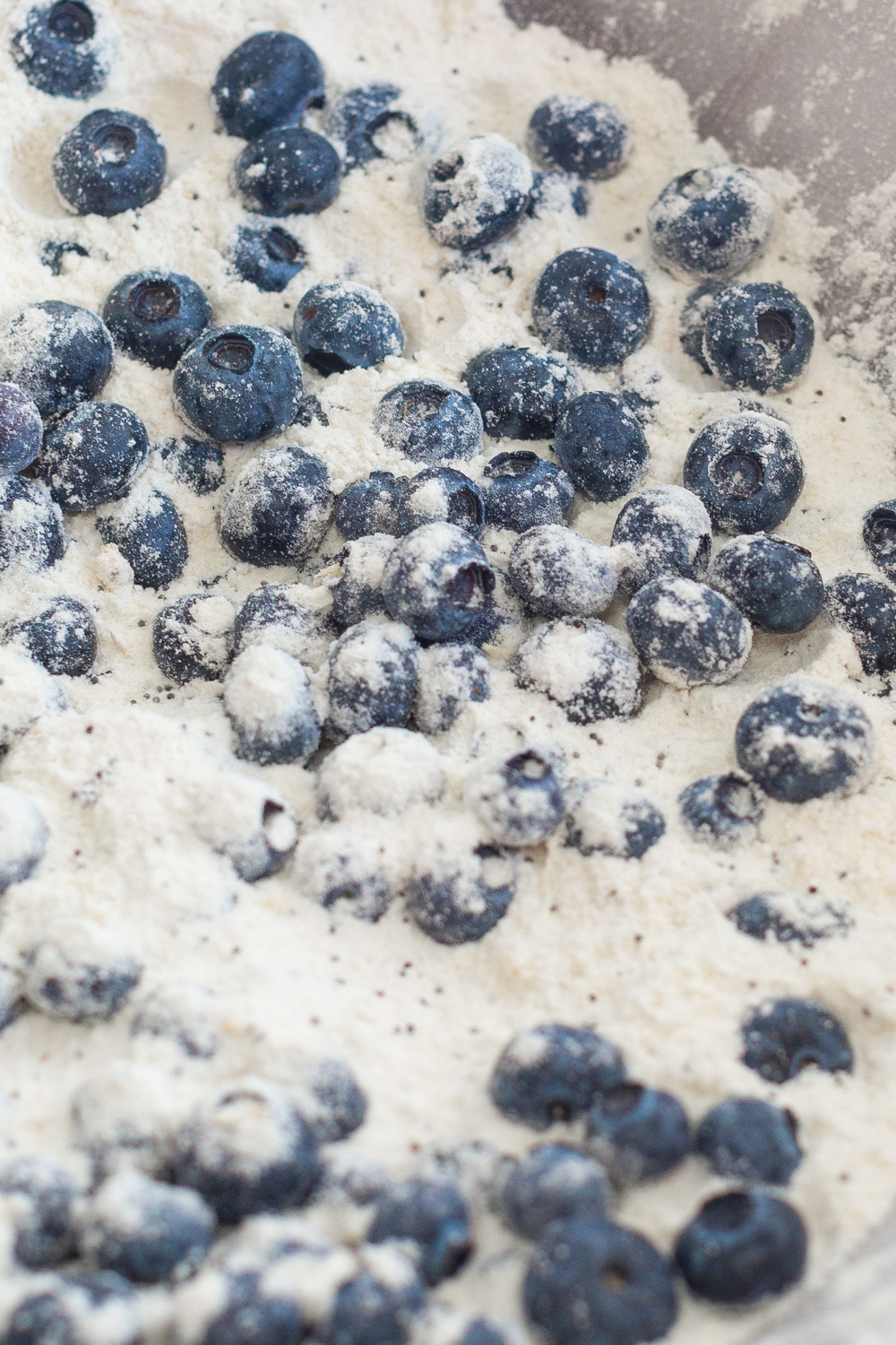 Blueberries tossed in dry ingredients for muffins.