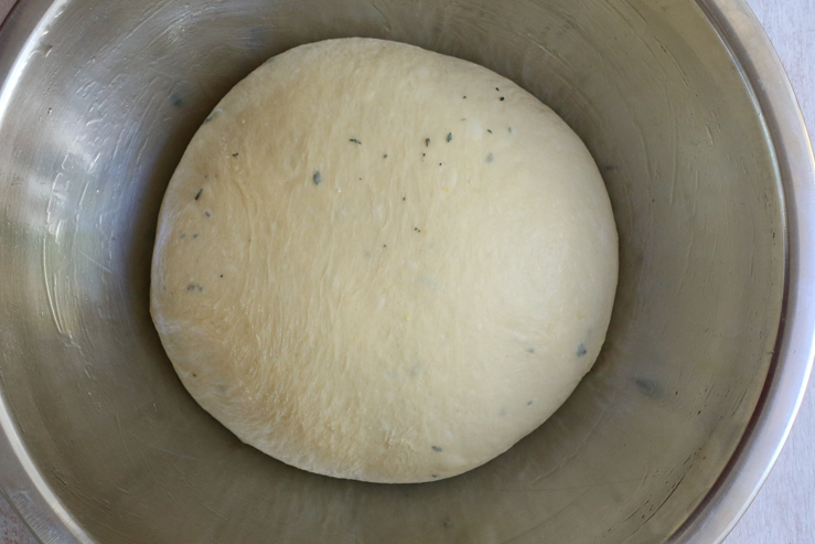 dinner roll dough in oiled bowl