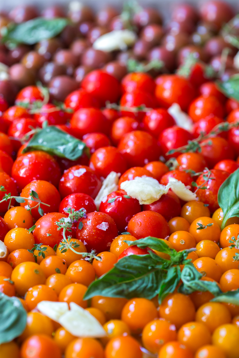 A close up of the tomatoes before roasting