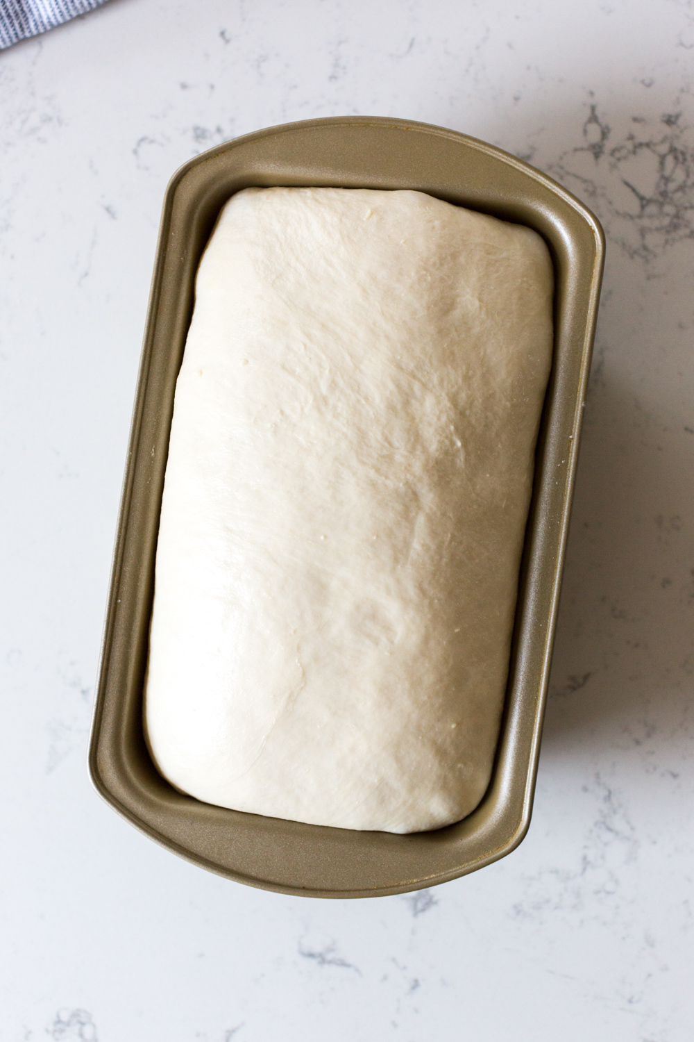 Best Basic White Bread dough rise