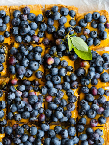 Blueberry Lemon Curd Poppy Seed Shortbread Bars by Baking The Goods