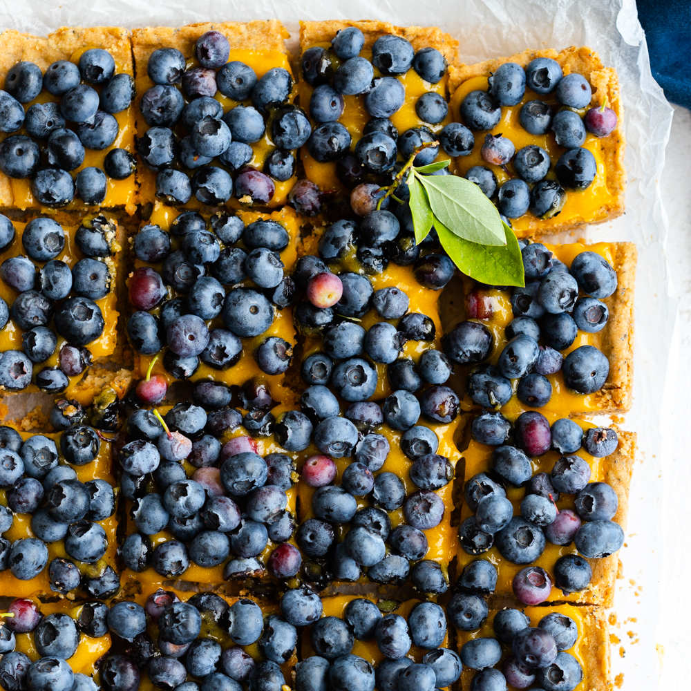 Blueberry Lemon Curd Poppy Seed Shortbread Bars by Baking The Goods