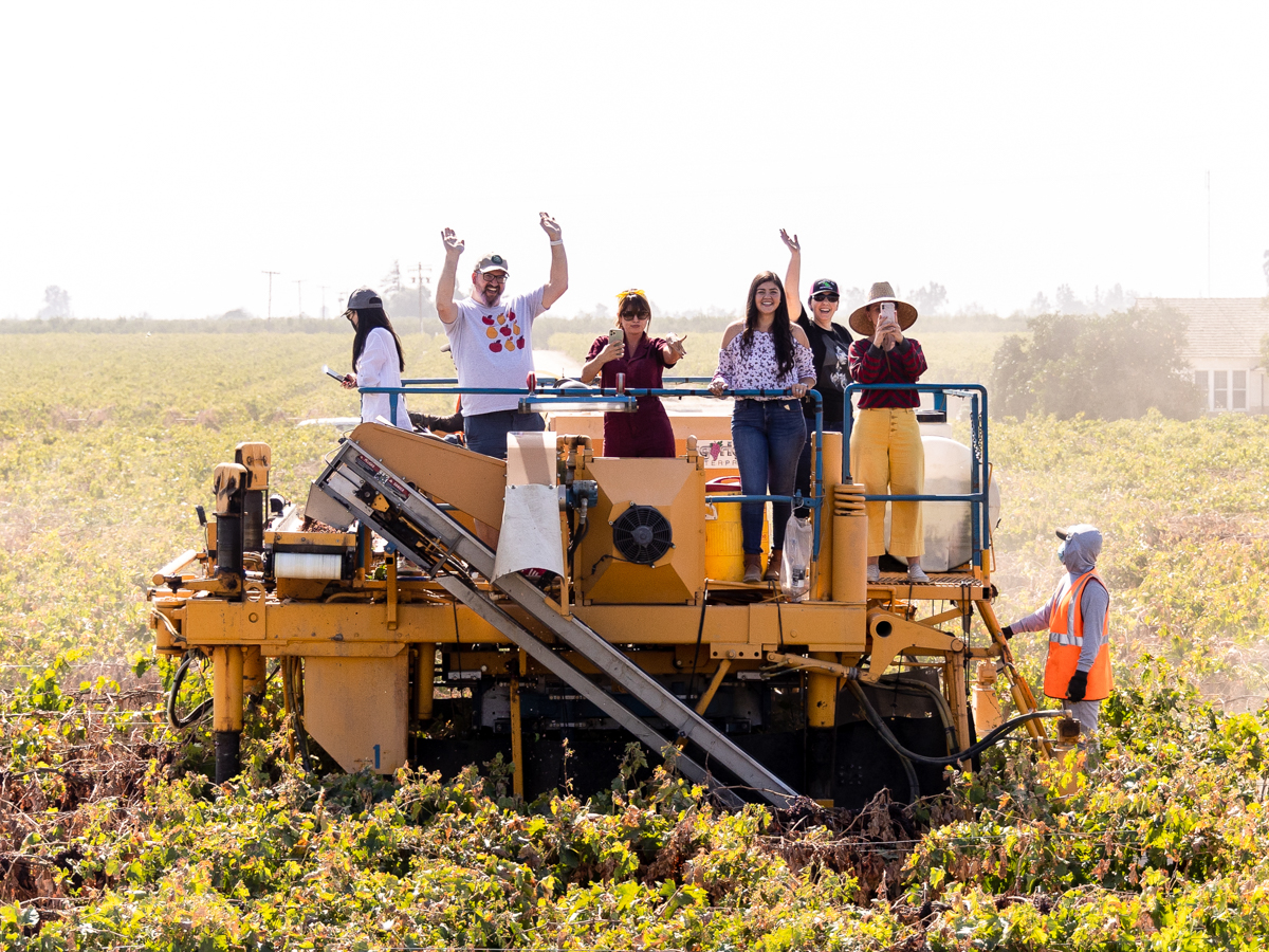 Riding a Raisin Harvester in Madera, CA