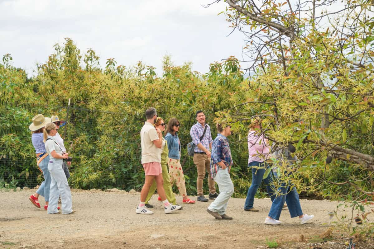 The CA Grown crew at Kimball Avocado Ranch